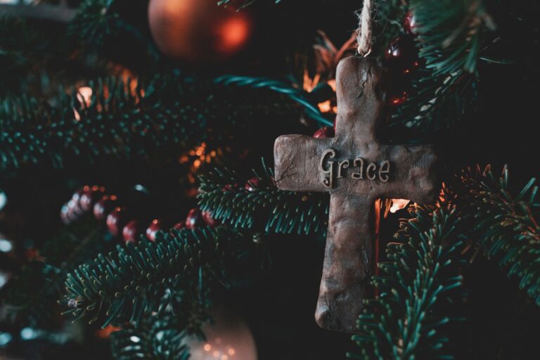 A Savior born at Christmas to fill our deepest need.