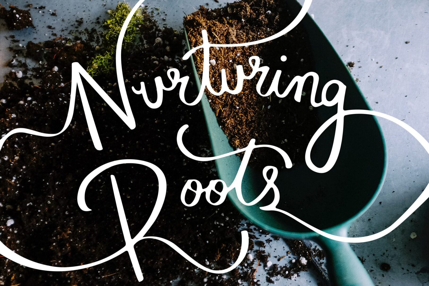 Nurturing Roots - Lifeline Children's Services